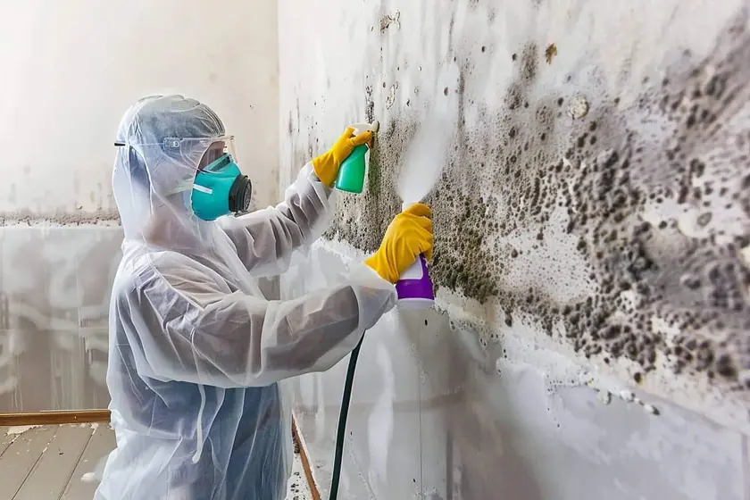 Nettoyage d'une zone de moisissure sur un mur avec gants et masque de protection